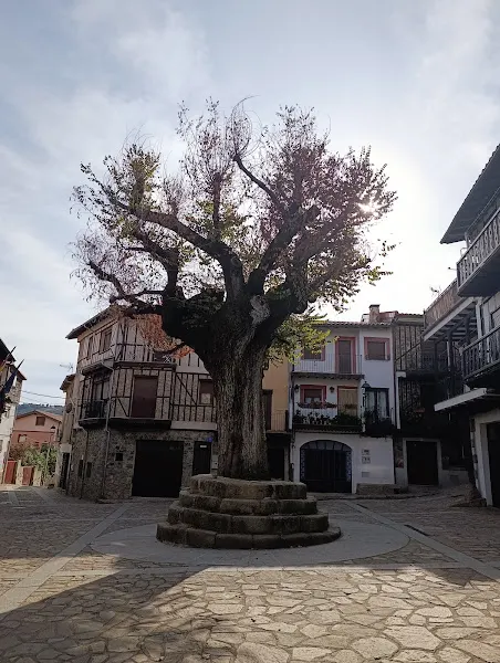 Ayuntamiento de Herguijuela del Campo. - Béjar