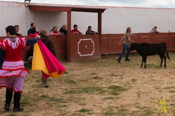 DESPEDIDAS de soltero y soltera en Salamanca (ACCIÓN MARTINAMOR)