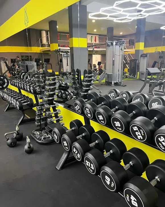 Anubis gym