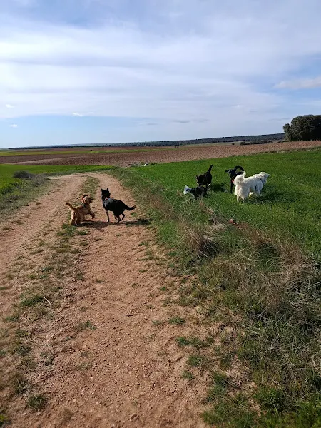 Club canino Baucan