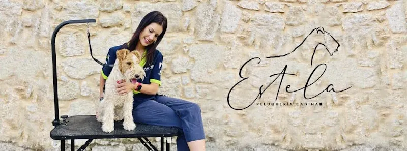 Estela Peluquería Canina - Peluquero de mascotas en Villamayor - foto 2
