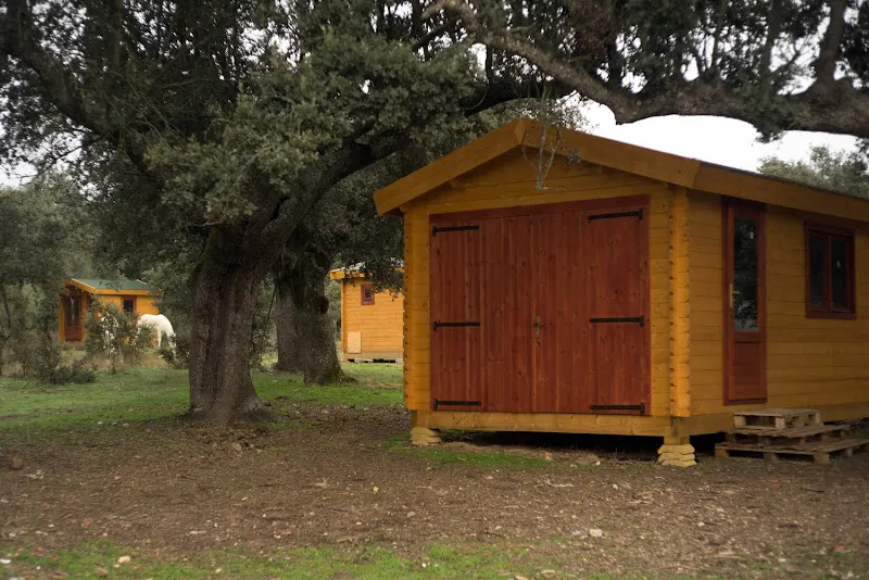 Campamento Peludosos - Salamanca
