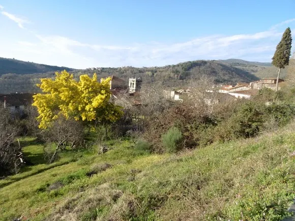 Apartamentos Azahar Salamanca - Béjar