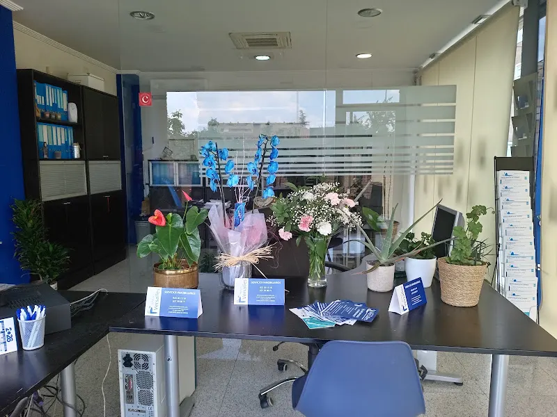 Agencia inmobiliaria Natalia Versalles