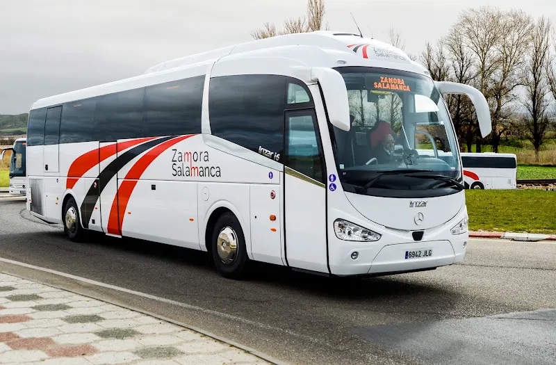 Zamora Salamanca, S.A.U. - Agencia de alquiler de autobuses en Salamanca - foto 2