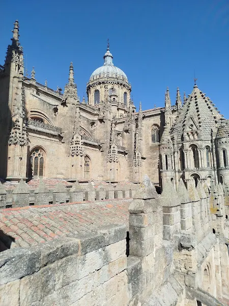 Visitas Guiadas Salamanca.Carmen Ingelmo. - Centro de información turística en Salamanca - foto 2