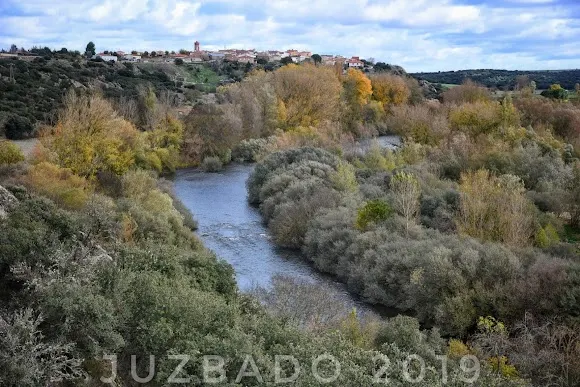 Museo de la Falla