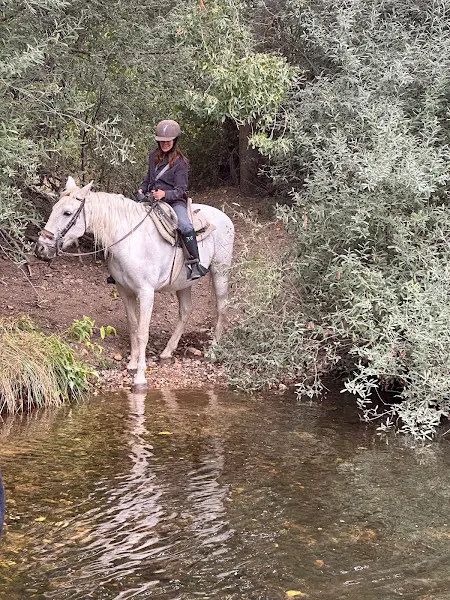 Los Caballos de la Ribera - Huerta