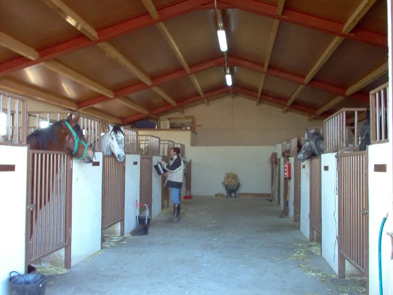 Los Caballos de la Ribera - Establo para caballos en Huerta - foto 2