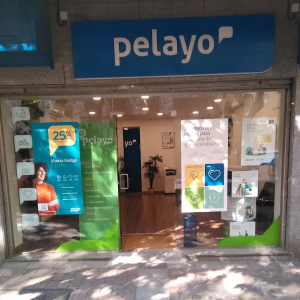 Oficina Seguros Pelayo - Agencia de seguros en Salamanca - foto 2