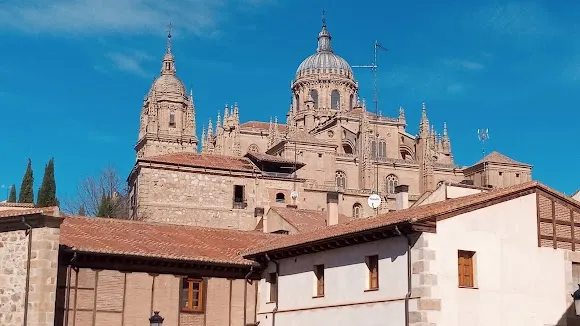 SALAMANCA VISITAS GUIADAS-GUÍA OFICIAL DE TURISMO-FLOR GONZÁLEZ - Salamanca