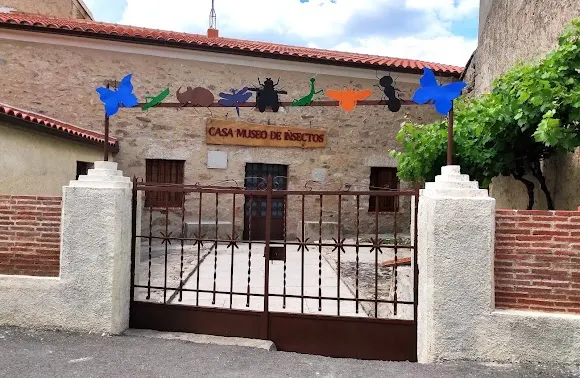 Casa Museo de Insectos - (Cita Previa) Entrada con donación o ayuda para el museo.Grupos máximo 20 personas. Visita guiada. - Ciudad Rodrigo