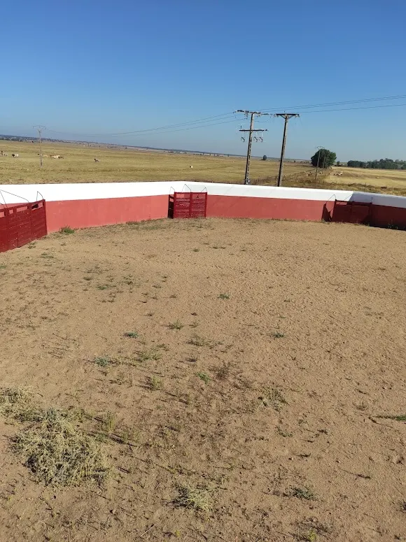 Ganadería Juan Luis Fraile - Rancho ganadero en Salamanca