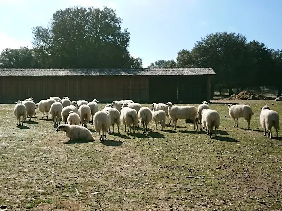 Hacienda Zorita Organic Farm - Granja orgánica en Salamanca