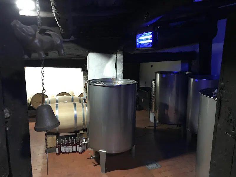 Bodega La Galeana