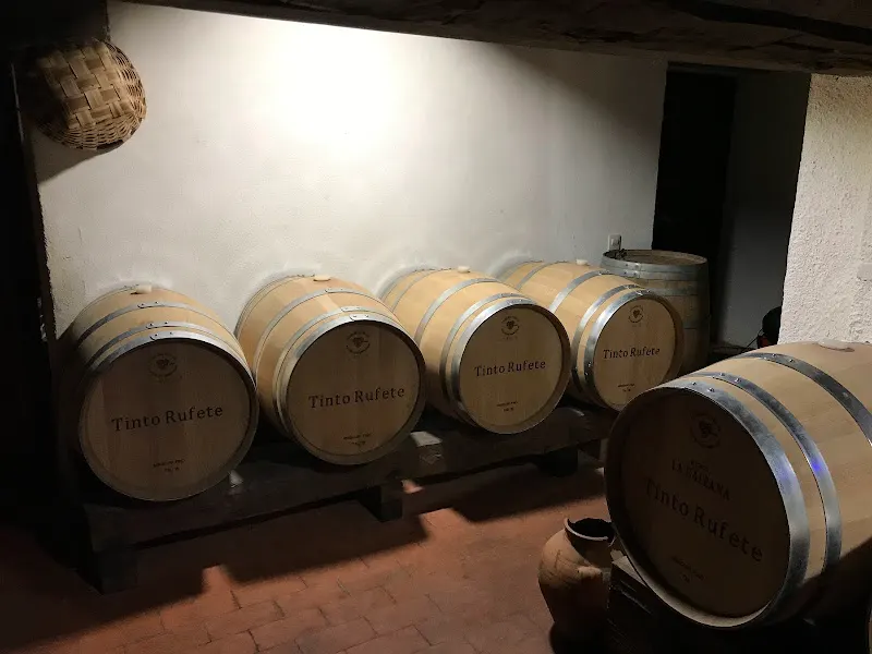 Bodega La Galeana - Bodega en Béjar - foto 2