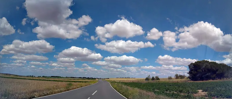 Aranpino de Salamanca, S. Coop. - Cooperativa agropecuaria en Salamanca
