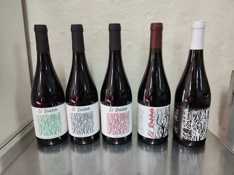 Bodegas y Viñedos El Robledo - Bodega en Sequeros - foto 2