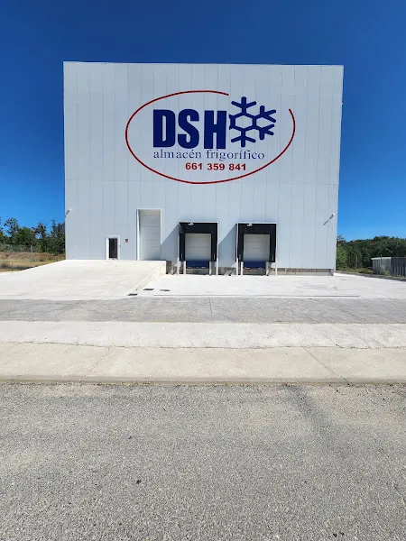 DSH CONGELADOS SLU - Instalación de almacenamiento en frío en Béjar - foto 2