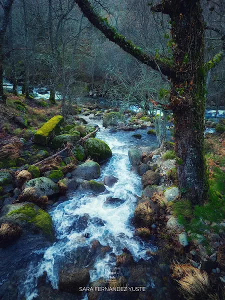 Dehesa Candelario - Zona de senderismo en Béjar - foto 2