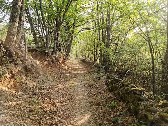 Área Recreo La Honfría - Béjar