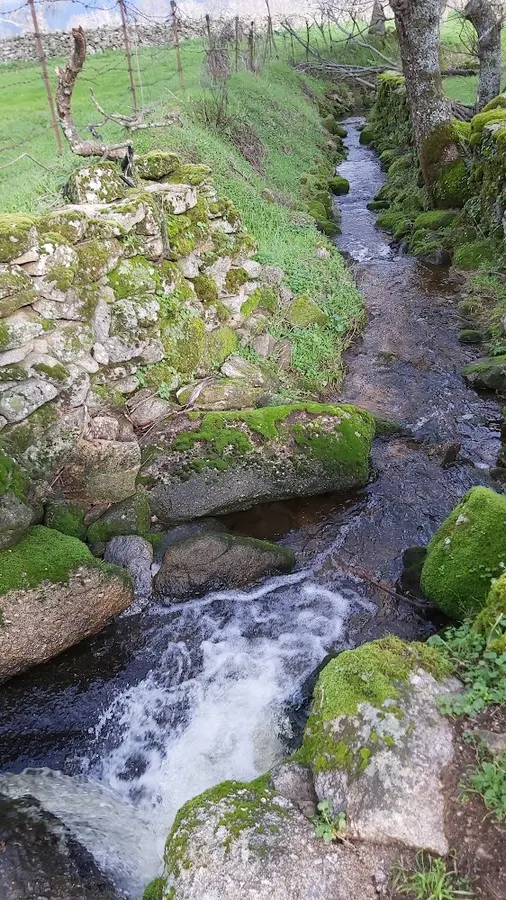 Pinedas - La Alberca - Zona de senderismo en Béjar