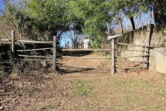 Ruta Pasos Jovenes