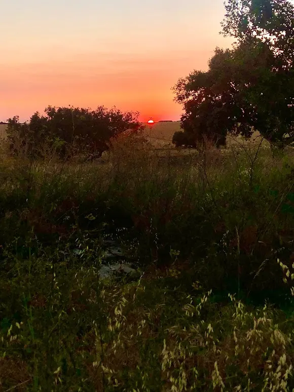 La rad - Salamanca