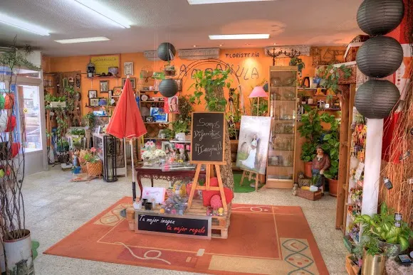 Campánula Floristería y Decoración - Interiorista en Santa Marta de Tormes