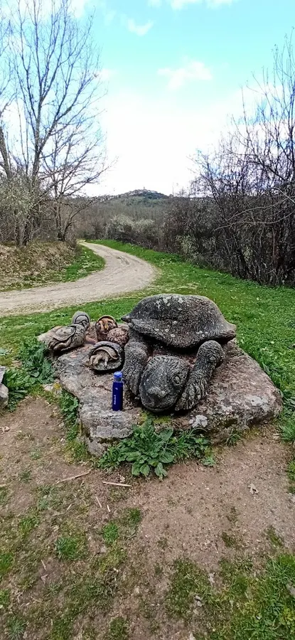 Tortugas esculpidas en granito