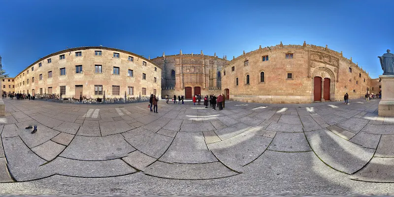 Rana de la Universidad