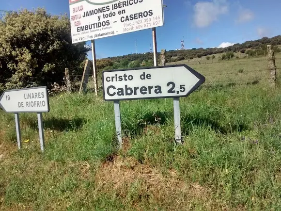 Bar Palomo