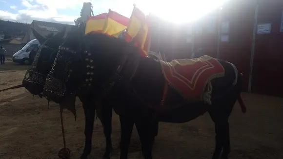 Estanco Tamames - Salamanca
