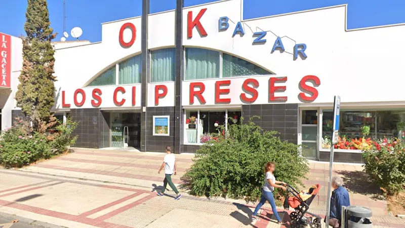 Bazar Cipreses en Salamanca - foto 2
