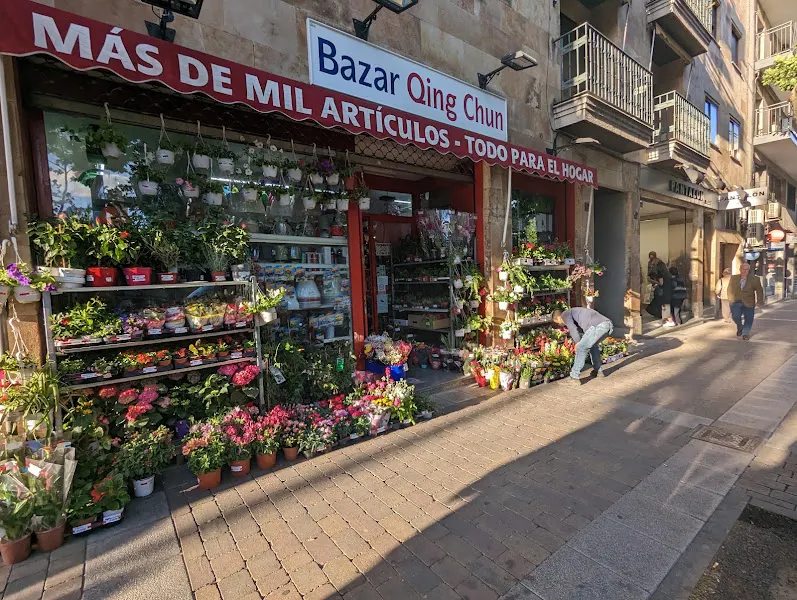 Bazar Qing Chun en Salamanca - foto 2