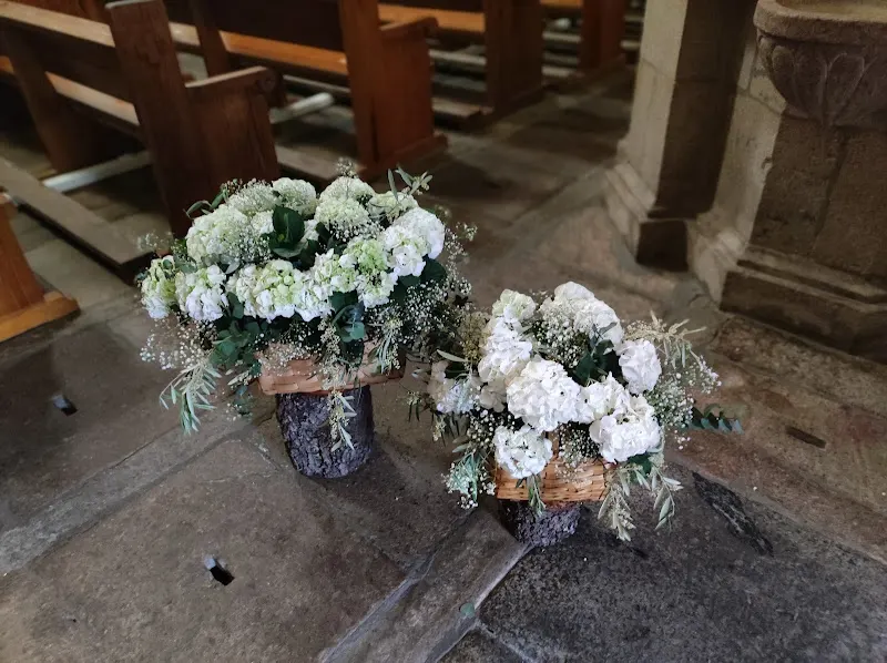 Floristería Beatriz en Ciudad Rodrigo