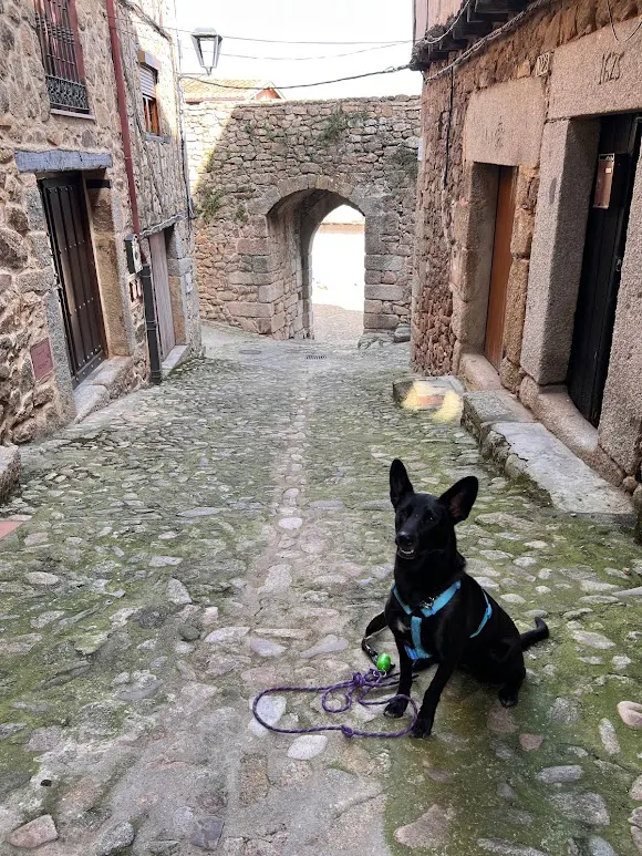 Al - Vivaque - Béjar