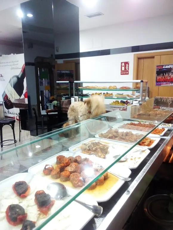 Cafetería Nueva Zelanda - Salamanca