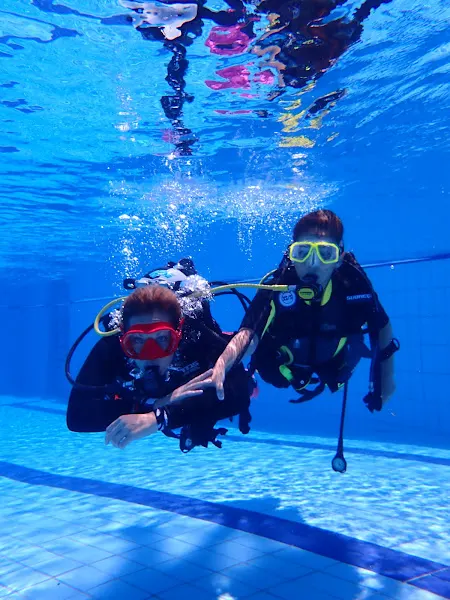SIRIUS OCEANIC - Club de buceo en Carbajosa de la Sagrada - foto 2