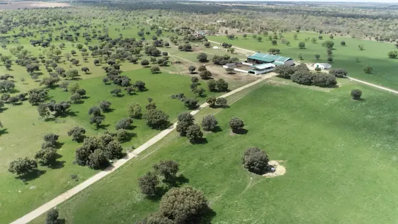 Pagos de Izcala - Topas