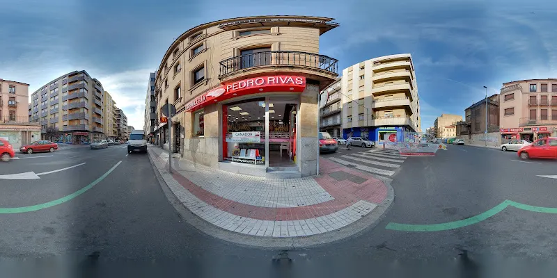 Carnicería Pedro Rivas - Carnicería en Salamanca - foto 2