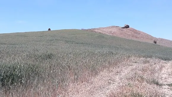 Torreón Emilia - Salamanca