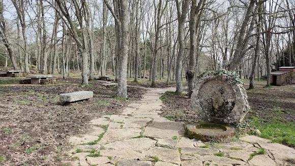Área Recreativa El Casarito