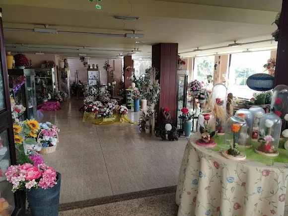Viveros y floristerías Villamayor - Villamayor