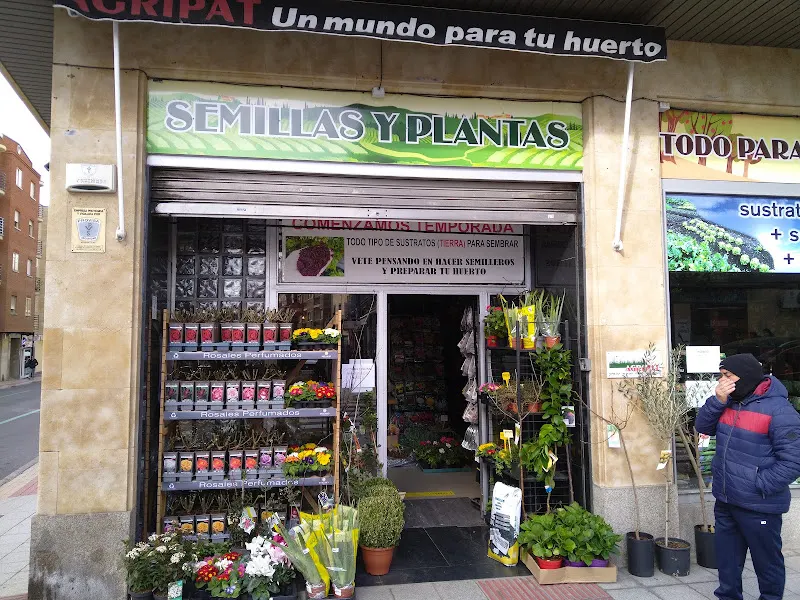 Semillas y Plantas Agripat - Proveedor de semillas en Salamanca - foto 2