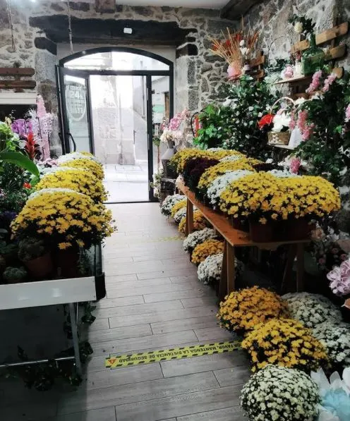 Floristería Béjar