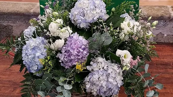 Floristería DIANA - Salamanca