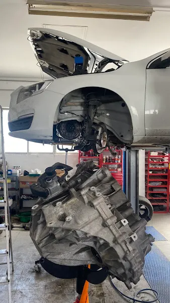 Bracadauto