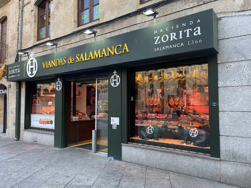 Viandas - Tienda de jamones en Salamanca - foto 3