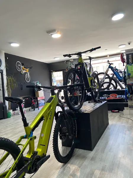 CON DOS PIÑONES SL - Tienda de bicicletas en Salamanca - foto 2